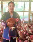 Microloan Donation