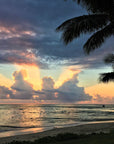 Fiji Tote (by Aaron John)