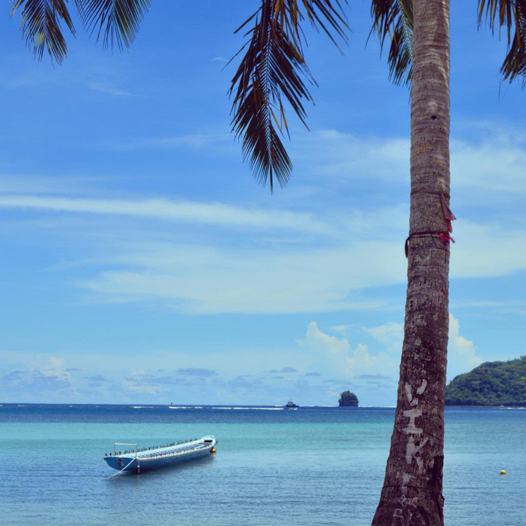 American Samoa Tote (by Marcela Trocha)