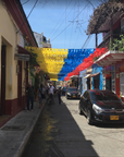 Colombia Tote (by Pam Polcaro)