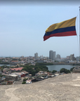 Colombia Tote (by Pam Polcaro)