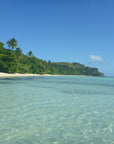 Fiji Tote (by Daniel Binzel)