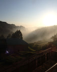 Rwanda Tote (by Farrell Strueber)