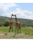 Rwanda Tote (by Kelsey Friedman)
