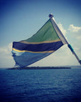 Tanzania Tote (by Kayla Griffith)