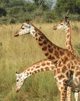 Uganda Tote (by Mary Carol Smith)
