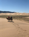 Mongolia Tote (by Mark)