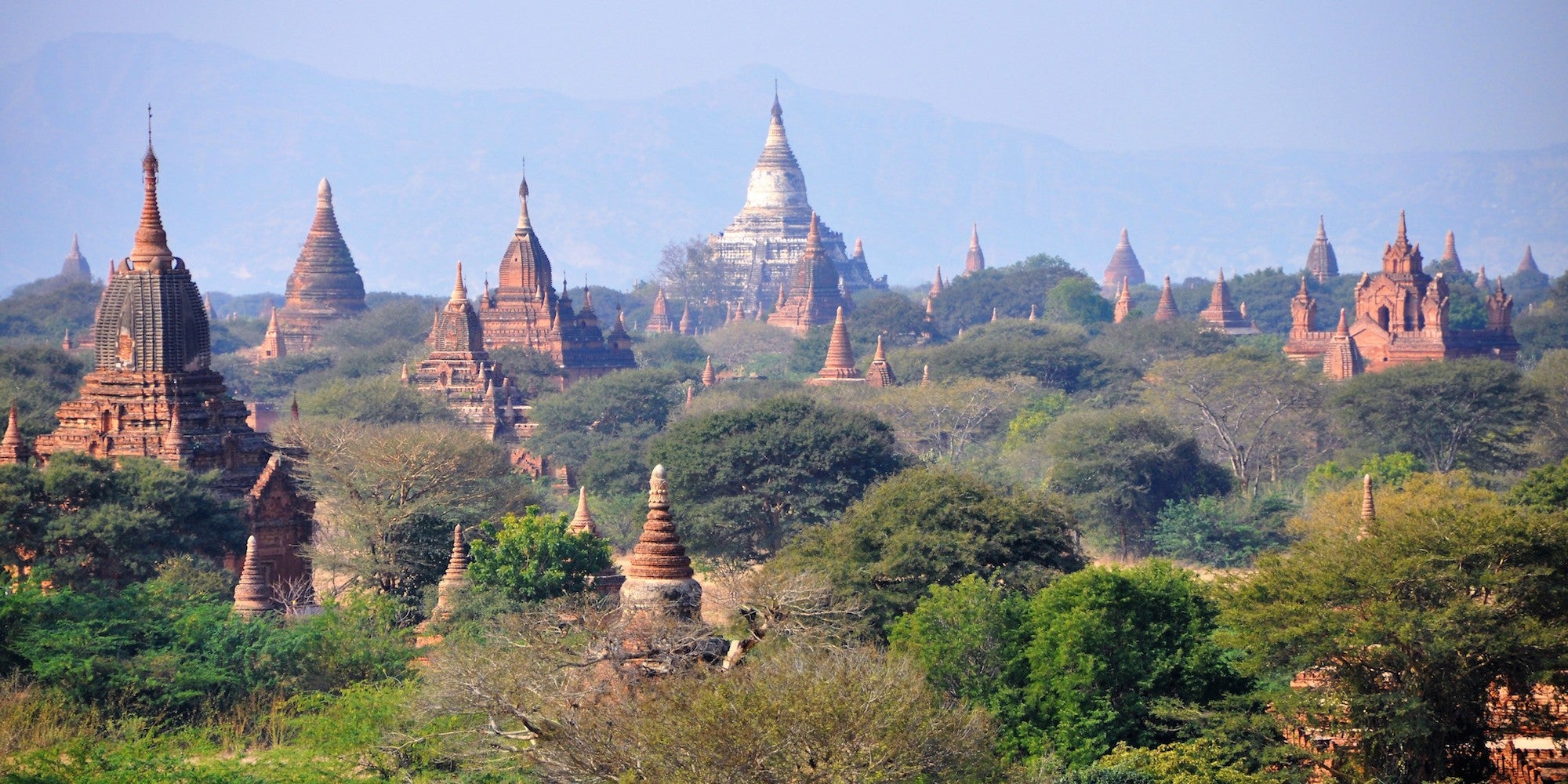 Straight from the Myanmar'kets