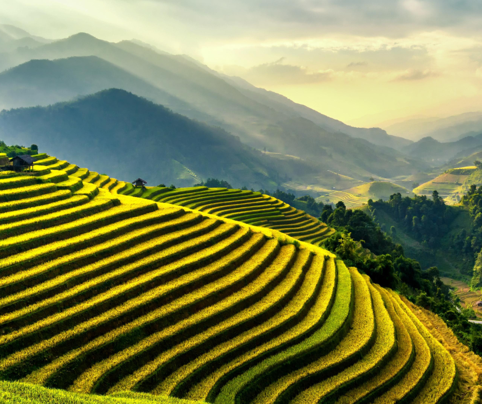 Mountain Staircase Built by Hand— Banaue, Philippines