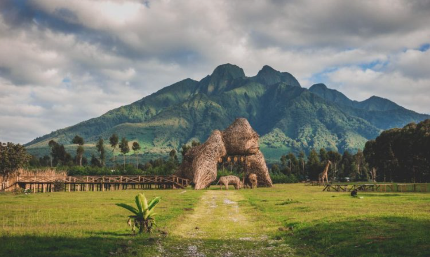 Into the Wild – Rwanda’s Volcanoes National Park