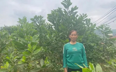 Phương from Vietnam 🇻🇳