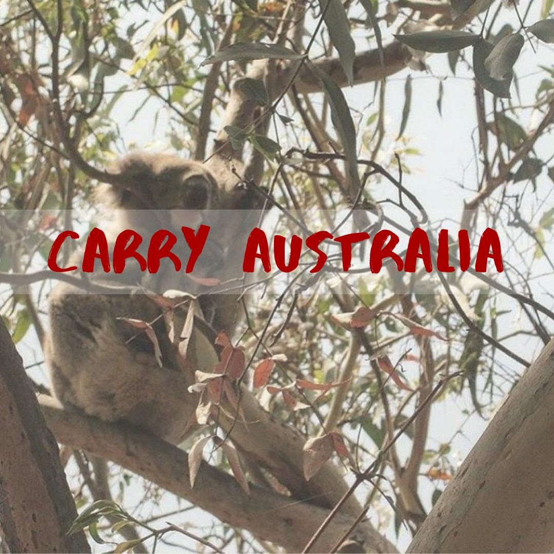 Australia Wildfire Relief