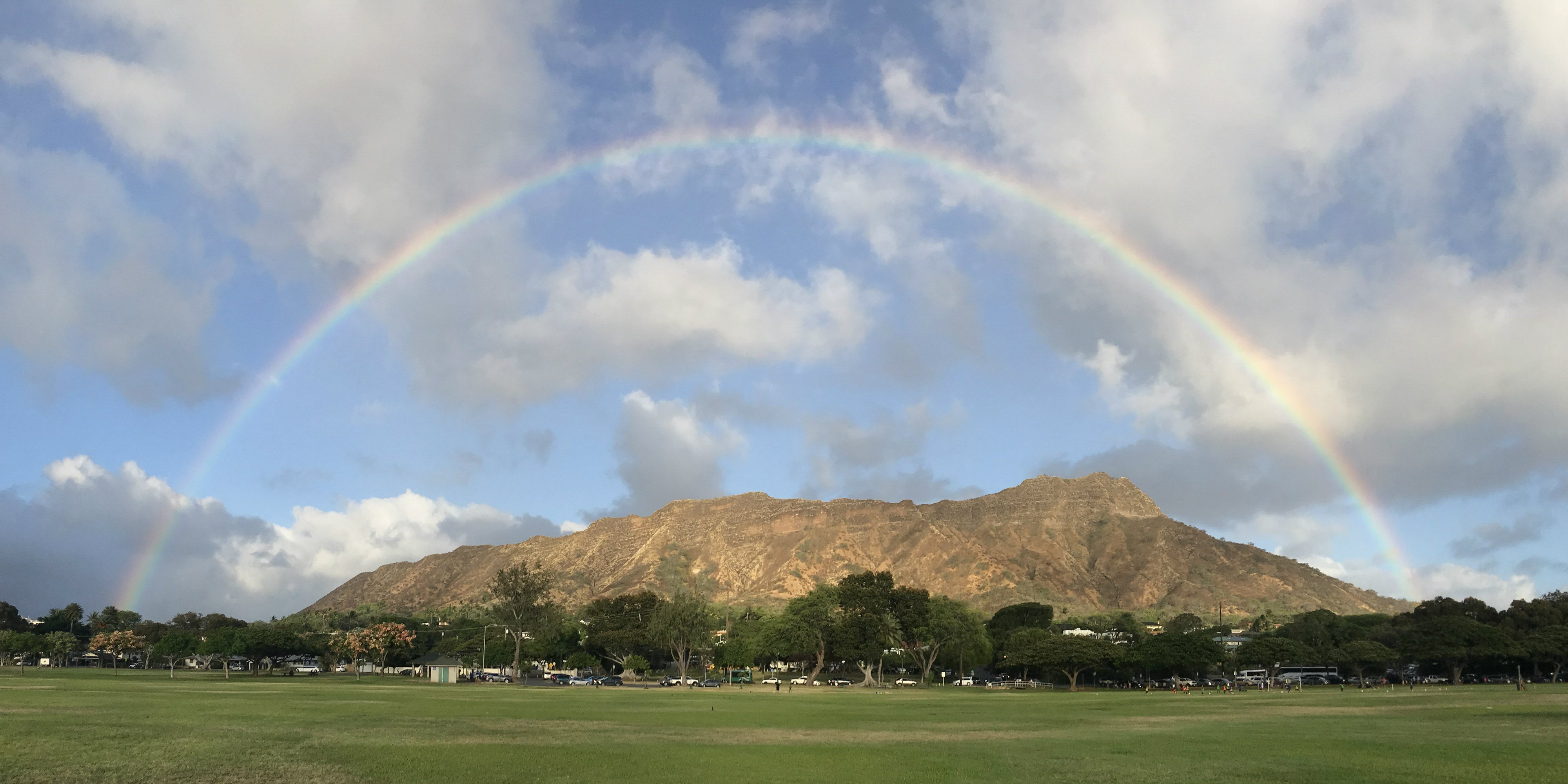 The Whole Hawaii’de World