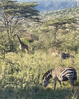 Kenya Tote (by Amy Brady)