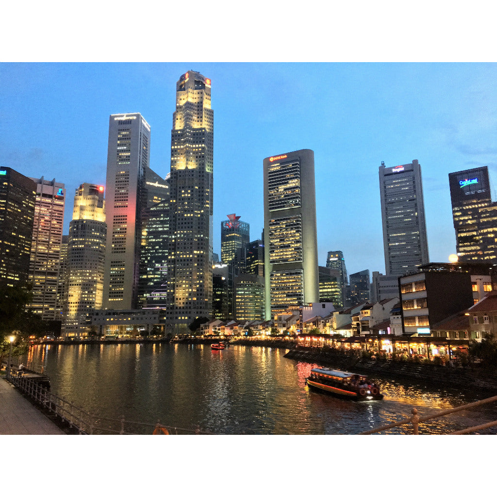 Singapore Tote (by Aaron John)