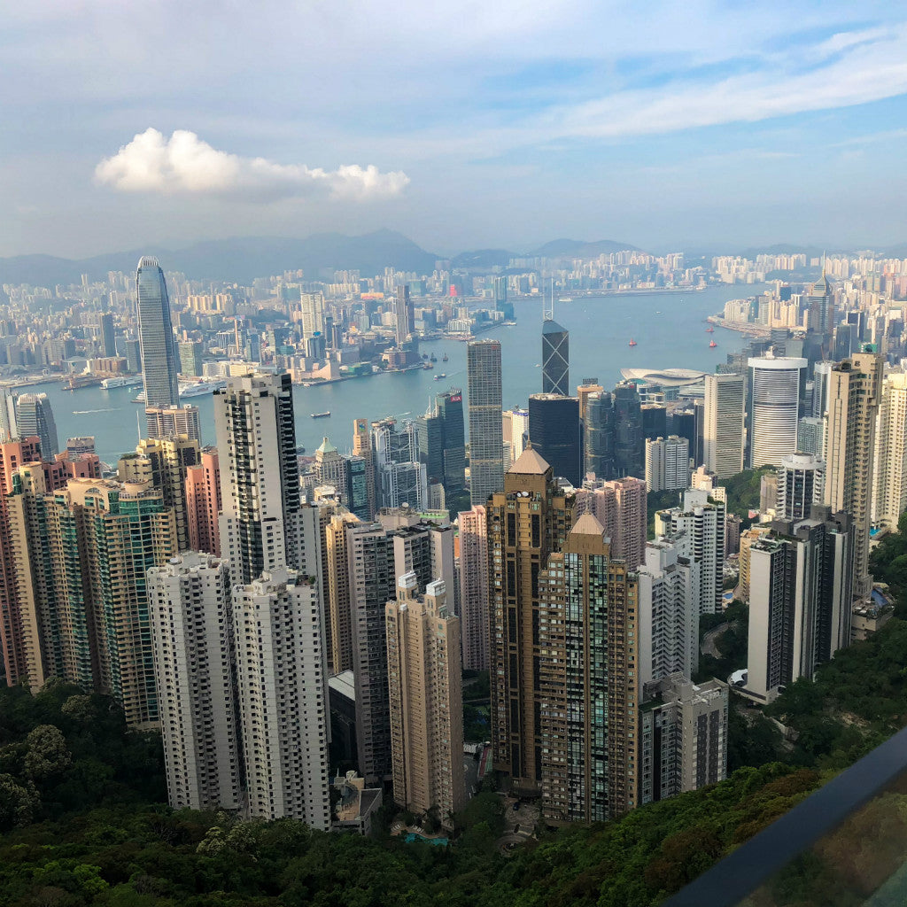 Hong Kong Tote (by Priya Ghosh)