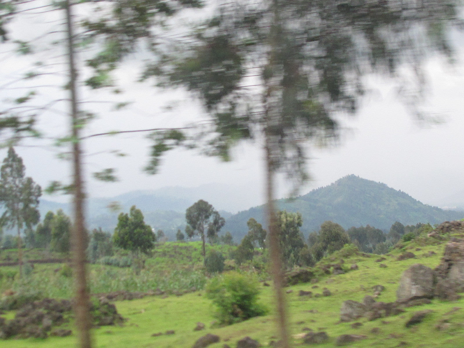 Rwanda Tote (by Isabelle S.)