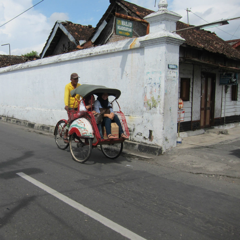 Indonesia Tote (by Martini Morris)