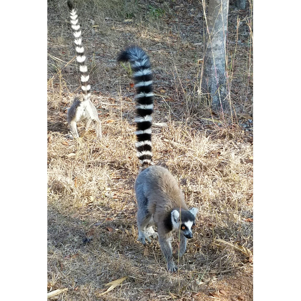 Madagascar Tote (by Isabelle S.)