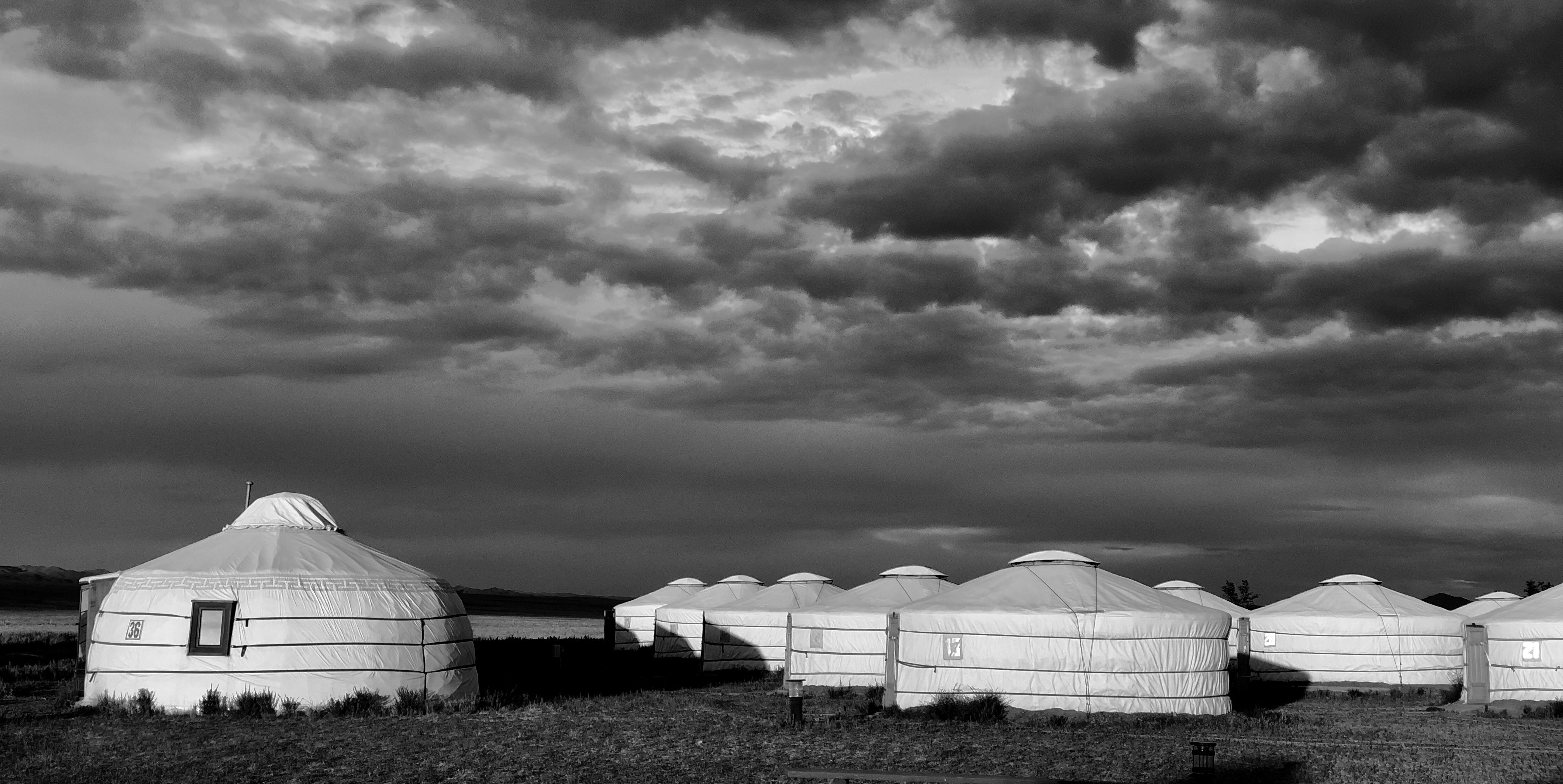 Mongolia Tote (by Mark)