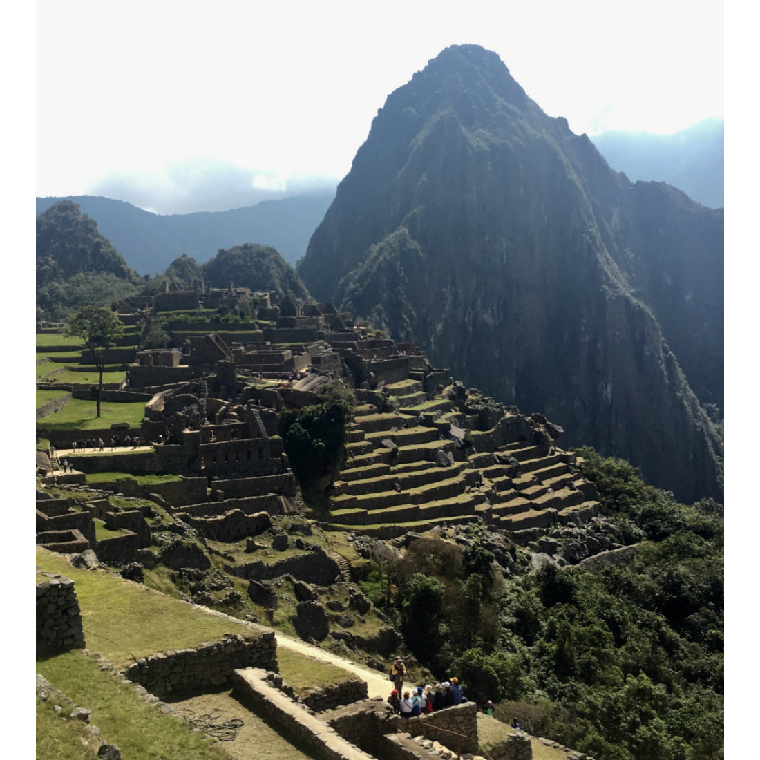 Peru Tote (by Brendan Dunphy)