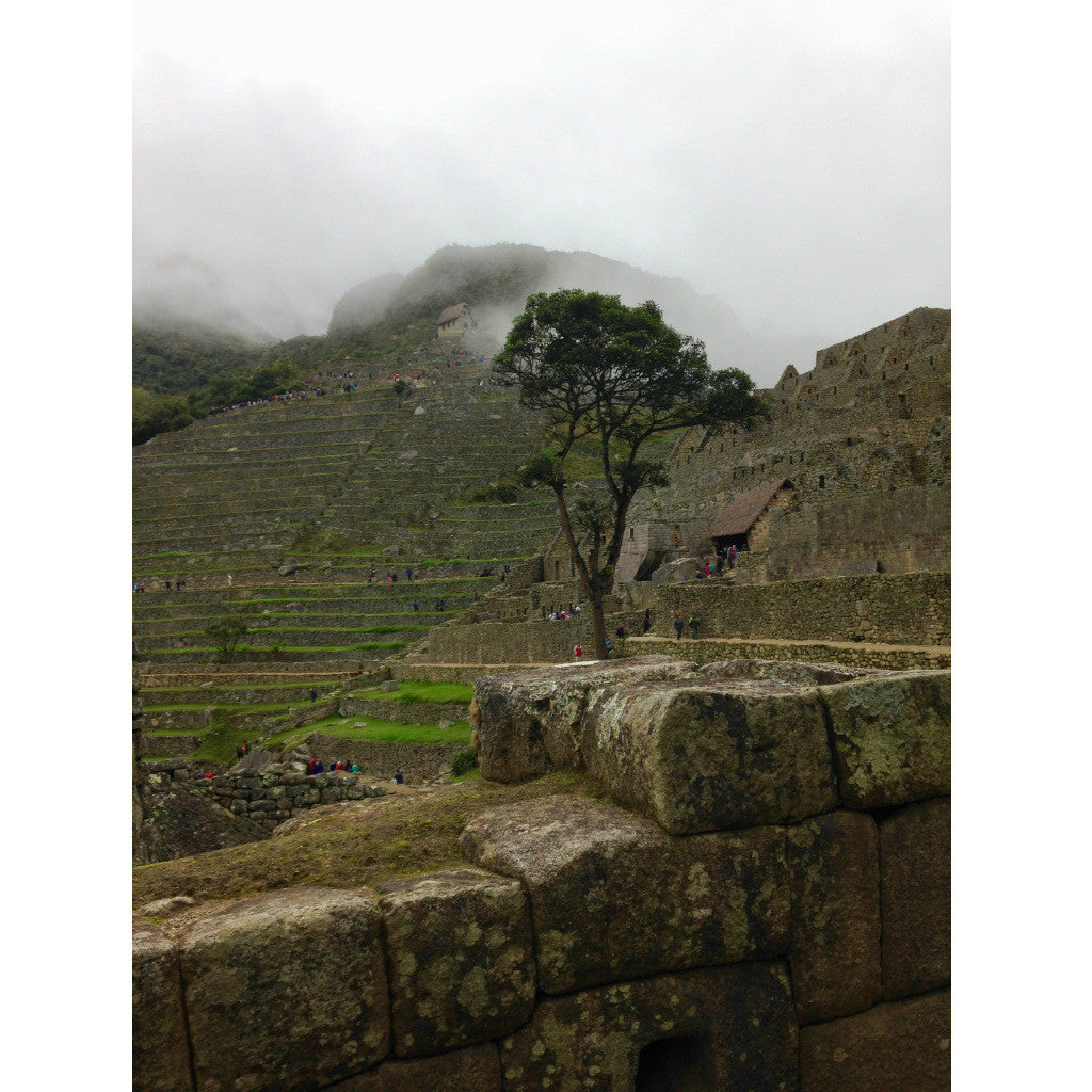 Peru Tote (by Leonore Lakshmanan)