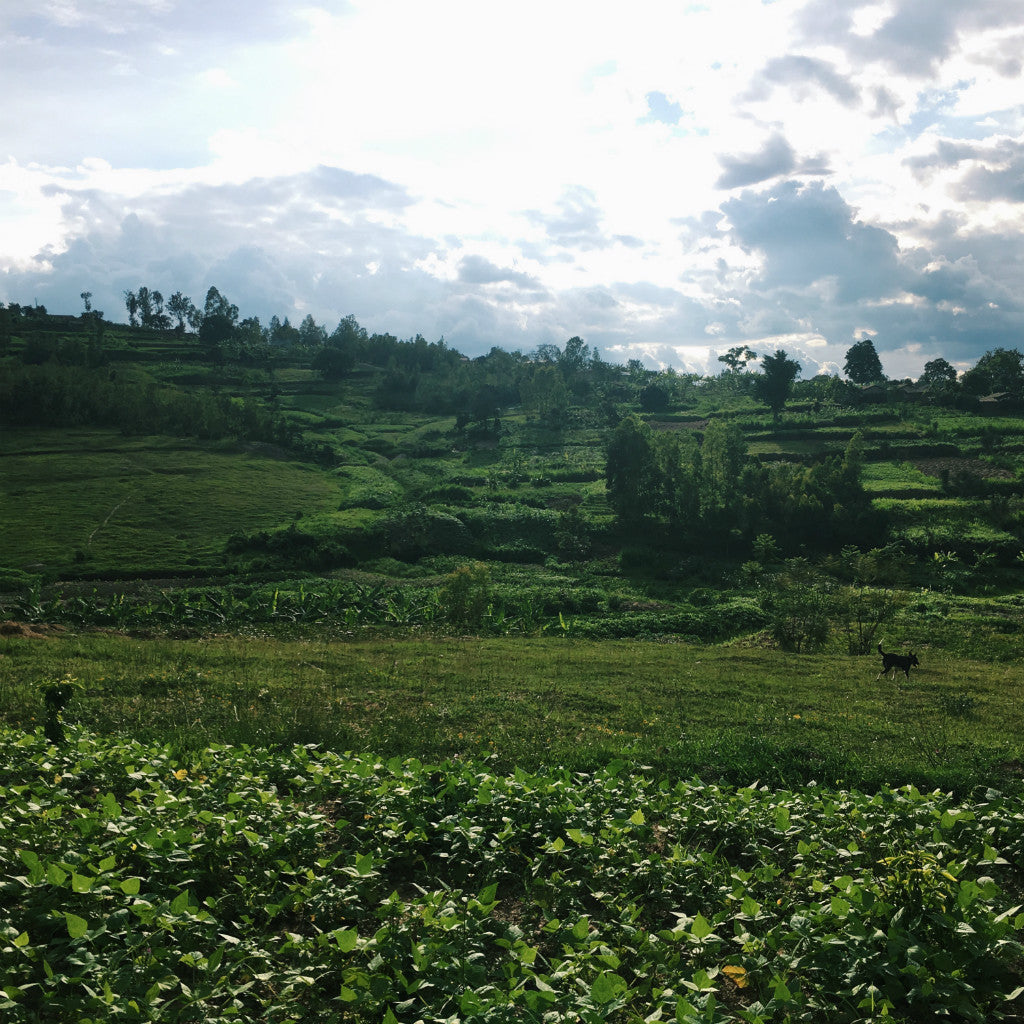 Rwanda Tote (by Baylee Lipscomb)
