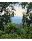Rwanda Tote (by Kelsey Friedman)
