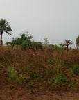 Sierra Leone Tote (by Kayla Duckert)